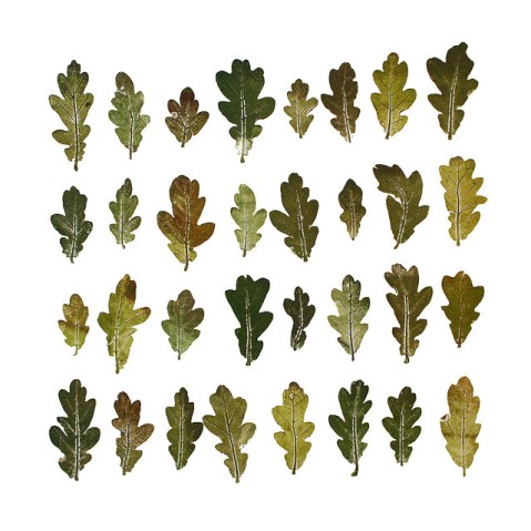 'English Oak' Monoprint by Jacqui Symons