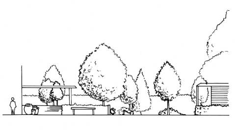 Garden Design Elevation - before colour rendering