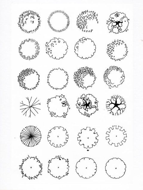 Garden Design - Tree Graphics